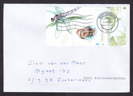 Netherlands: Cover, 2021, 1 Stamp + Tab, Part Of Souvenir Sheet, Otter, Darning Needle Insect, Dragonfly (traces Of Use) - Covers & Documents