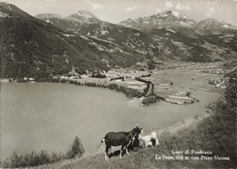 Ansichtskarte Le Prese / Lago Di Poschiavo (aa9757) - Poschiavo