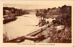 ANIANE - Les Bords De L'Hérault - Aniane