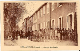 ANIANE - Avenue Des Ecoles - Aniane
