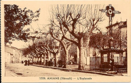 ANIANE - L'Esplanade - Aniane