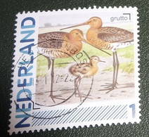 Nederland - NVPH - 2011 - 2791-Aa-22 - Persoonlijk Gebruikt - Cancelled - Grutto - Vogel - Vogels - Personalisierte Briefmarken