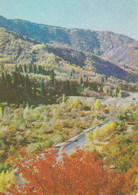 Kazakhstan - Alma Ata Almaty - Road To Medeo - Printed 1980 - Kazakistan