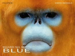 Sguardi Sul Mondo: Blue	 Di Simone Sbaraglia,  2020,  Youcanprint - Art, Design, Décoration