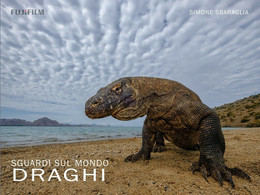 Sguardi Sul Mondo: Komodo	 Di Simone Sbaraglia,  2019,  Youcanprint - Art, Design, Décoration