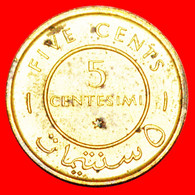 * STARS: SOMALIA ★ 5 CENTS 1967 UNC MINT LUSTER! LOW START ★ NO RESERVE! - Somalië