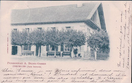 Corcelles BE, Pensionnat A. Dedie-Gossin (11.5.1900) - Corcelles