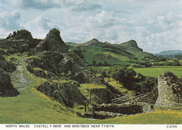 Postcard Castle Castell Y Bere & Bird Rock Nr Tywyn North Wales My Ref B25138MD - Caernarvonshire