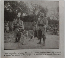1916 WW1 - Journal SUR LE VIF - LES CHIENS DE GUERRE - L' AS Georges FLACHAIRE - Altri