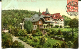 CPA - Carte Postale - Suisse - Zürich - Waldhaus Dolder - 1906 ( MO18173) - Wald