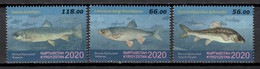 Kyrgyzstan 2020 / Fish Fishes MNH Peces Fische Poisson / Cu18932  7-15 - Fische
