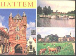 Nederland Holland Pays Bas Hattem Met Jachthaven Oa - Hattem