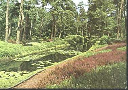 Nederland Holland Pays Bas Driebergen Met Vijver In Bos - Driebergen – Rijsenburg