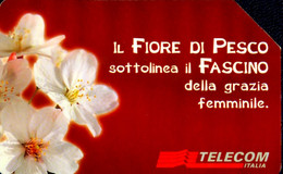 G 948 C&C 3023 SCHEDA TELEFONICA USATA MESSAGGI FLOREALI IL PESCO BUONA QUALITA' - Public Themes