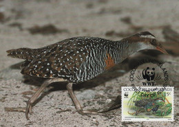 MAXIMUM CARD - MAXICARD - MAXIMUM KARTE - CARTE MAXIMUM - COCOS (KEELING) ISLAND - Rallus Philippensis Andrewsi - Cuckoos & Turacos