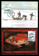 GREENLAND 2 MAXIMUM POSTCARDS - 2002 Exploration Of The Sea (ICES) (STB9-47) - Maximum Cards