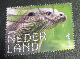 Nederland - NVPH - Xxxx - 2021 - Gebruikt - Used - Beleef De Natuur - Otter - Oblitérés