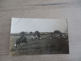 Carte Photo 45 La Ferté Saint Aubin Attribuée à F.Baroud Vue Générale - La Ferte Saint Aubin