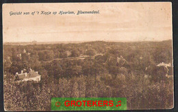 BLOEMENDAAL Gezicht Vanaf Het Kopje Richting Haarlem Ca 1915 - Bloemendaal