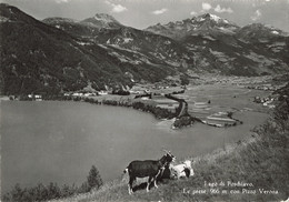 Ansichtskarte Le Prese / Poschiavo (aa9828) - Poschiavo