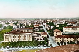 Cartolina - Fidenza - Panorama - 1955 - Parma