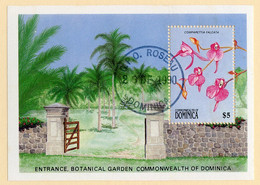 481 Dominica 1989 Sc.#1195 Used "Offers Welcome" - Dominica (1978-...)