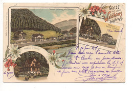 LITHO Gruss Aus Dem Waldhaus SIHLBRUGG Bahnhof Station Mit Bahn (Ecken Bestossen) - Wald