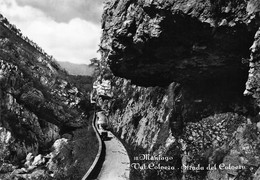 012706 "(PORDENONE) MANIAGO - VAL COLVERA - STRADA DEL COLVERA"   ANIMATA, AUTO. CART  SPED 1955 - Pordenone