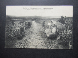 Frankreich AK Um 1910 La Vie En Champagne Les Vendanges / Weinlese Malgre La Pluie Sekt Champagner Moet Chandon - Viñedos