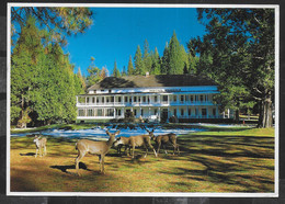 U.S.A. - CALIFORNIA - YOSEMITE NATIONAL PARK  - WAWAONA HOTEL - VIAGGIATA 1998 DA LAS VEGAS - Yosemite