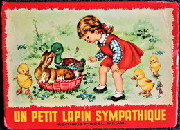 Un Petit Lapin Sympathique - Livre POP - UP - Éditions Piccoli Milan - - Autres & Non Classés