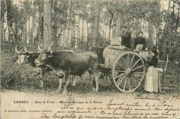 Landes * Dans La Forêt * Mise En Barrique De La Résine * Attelage * Résinier Métier - Other & Unclassified