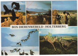 Holten (Ov.) - 'BOS DIERENWERELD' , Holterbergweg 12 - Holterberg - (Nederland) - Nr. L 6783 - Holten