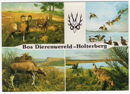 Holten (Ov.) - 'BOS DIERENWERELD' , Holterbergweg 12 - Holterberg - (Nederland) - Nr. L 1670 - Holten