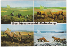 Holten (Ov.) - 'BOS DIERENWERELD': Diorama De 4 Jaargetijden Op De Holterberg , Holterbergweg 12 - (Nederland) - Holten