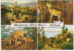 Holten (Ov.) - Museum 'Piet Bos' , Holterberg - (Nederland) - L 1322 - Holten