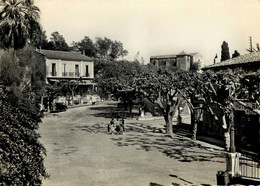 Bormes * La Place Gambetta * Hôtel De La Terrasse Et Chapelle St François * Route - Bormes-les-Mimosas