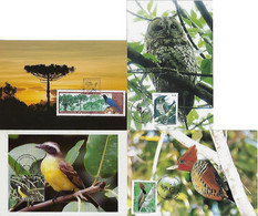 Brazil 1998 / 2008 4 Maximum Card Stamp Fauna Animal Bird Great Kiskadee Woodpecker Owl Azure Jay - Altri