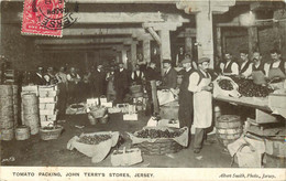ILES DE LA MANCHE  JERSEY TOMATO PACKING John Terry's Stores - Jersey