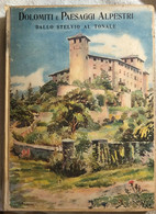 Dolomiti E Paesaggi Alpestri - Dallo Stelvio Al Tonale Di Manlio Besozzi,  1929, - Libri Antichi