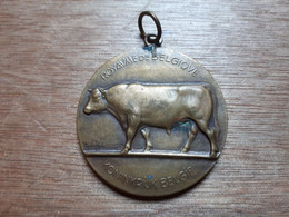 BELGIQUE BELGIE MEDAILLE AGRICULTURE LANDBOUW 1948 - Professionnels / De Société