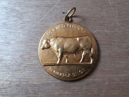 BELGIQUE BELGIE MEDAILLE AGRICULTURE LANDBOUW 1949 - Unternehmen