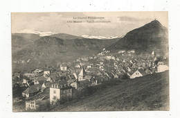 Cp,  15 , Cantal , MURAT , Vue Panoramique, Vierge - Murat