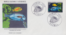 Enveloppe   FDC   1er   Jour   NOUVELLE   CALEDONIE    Aquarium  De   NOUMEA    1973 - FDC