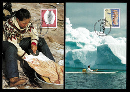 GREENLAND MAXIMUM POSTCARD - 2 Cards 2000 Culture (STB9-106) - Maximum Cards