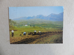 Peat-workings Below Quinag Peat Diggers At Work Below The Craggy Slopes - Sutherland