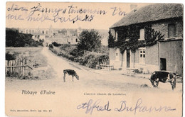 Abbaye D'Aulne - L'ancien Chemin De Landelies - Thuin
