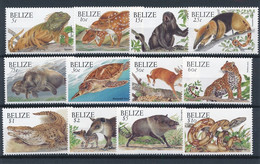 Belize 2000 Wild Animals Stamps12v MNH - Belize (1973-...)