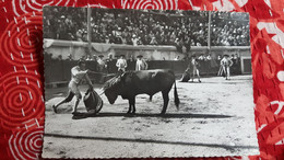 CPSM NIMES GARD COURSE DE TAUREAUX AUX ARENES ROMAINES LA MISE A MORT ED RELLA 1960 - Bull