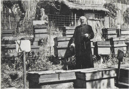 ROCHEHAUT ..-- Un Des Ruchers De L ' Abbé Marenne . MIEL , ABEILLES . RUCHE . - Bouillon